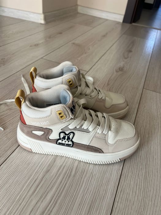 Кецове Andy studio