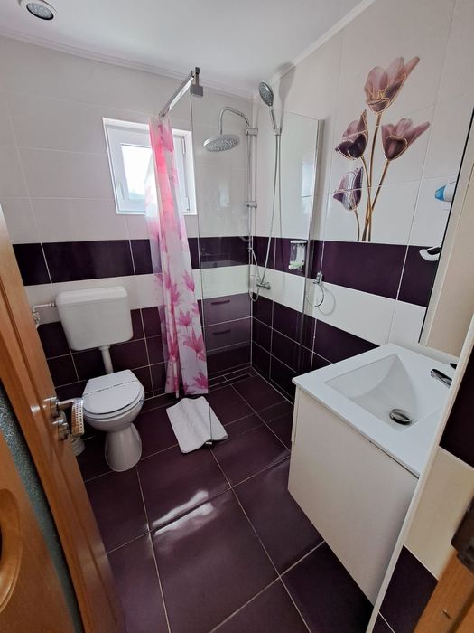 Cazare Busteni Vila Monica