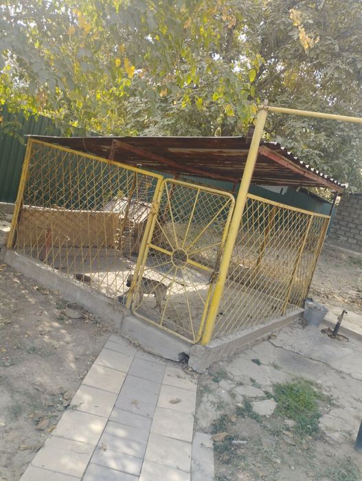 Продам вольер срочно из металла