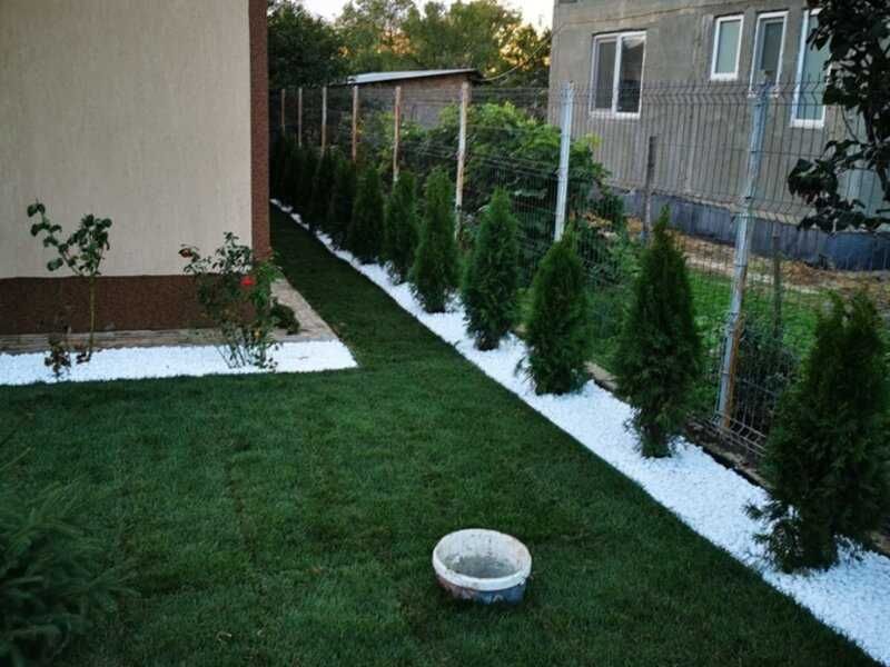 Amenajări Curți Complete | Tuia, Lilandrii, Copaci Ornamentali