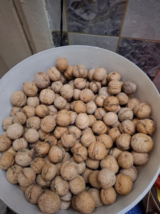 Продам грецкие орехи