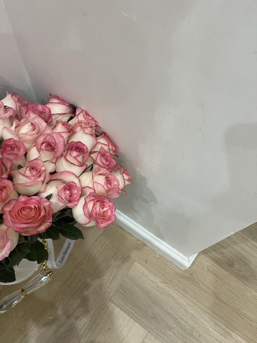 Продам цветы все свежие