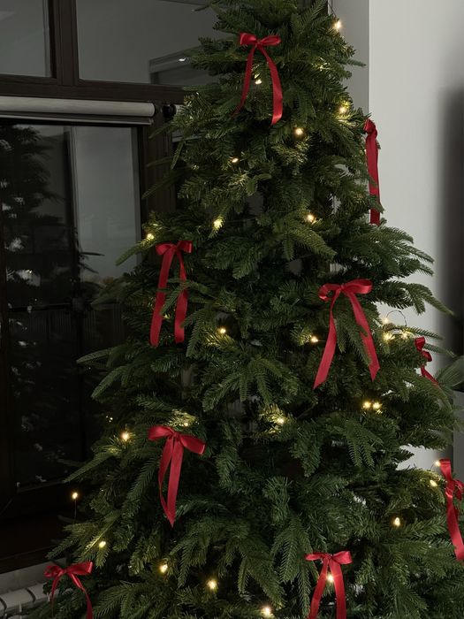 Новогодние ёлки премиум качества по доступным ценам