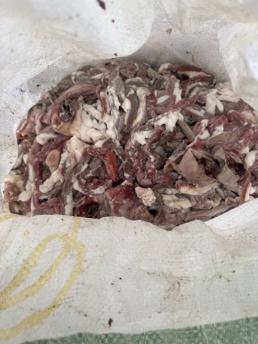 Корм для собак, кошек и тд.