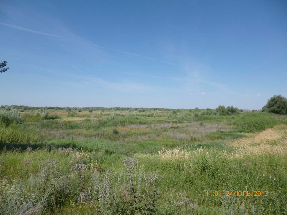 Земля 1580 соток у реки, зеленый, под базу отдыха  или иное.
