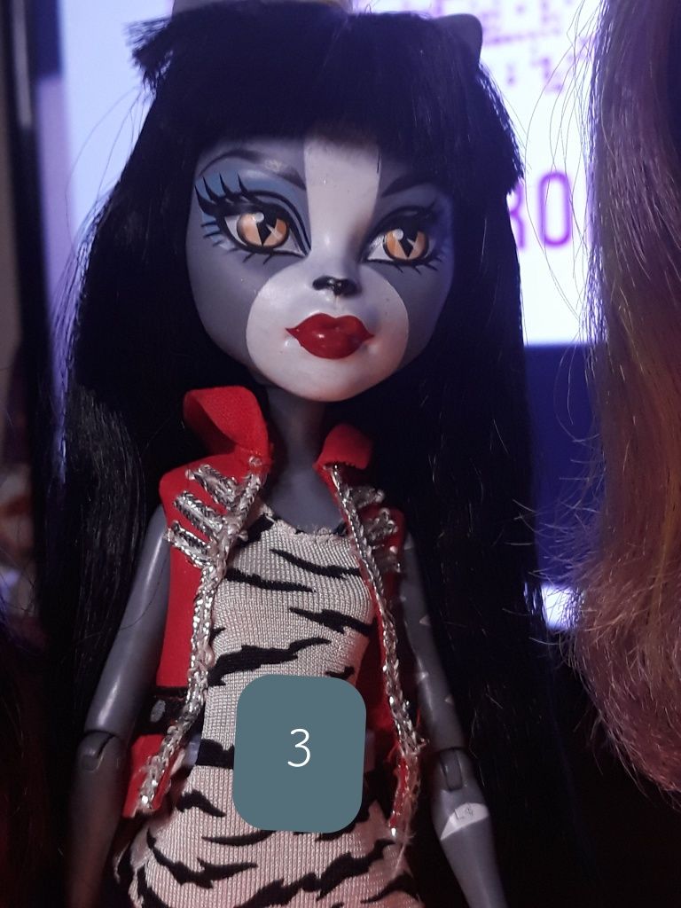 Monster High- 9 Colecție proprie.