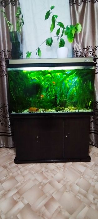 Продам заводской аквариум