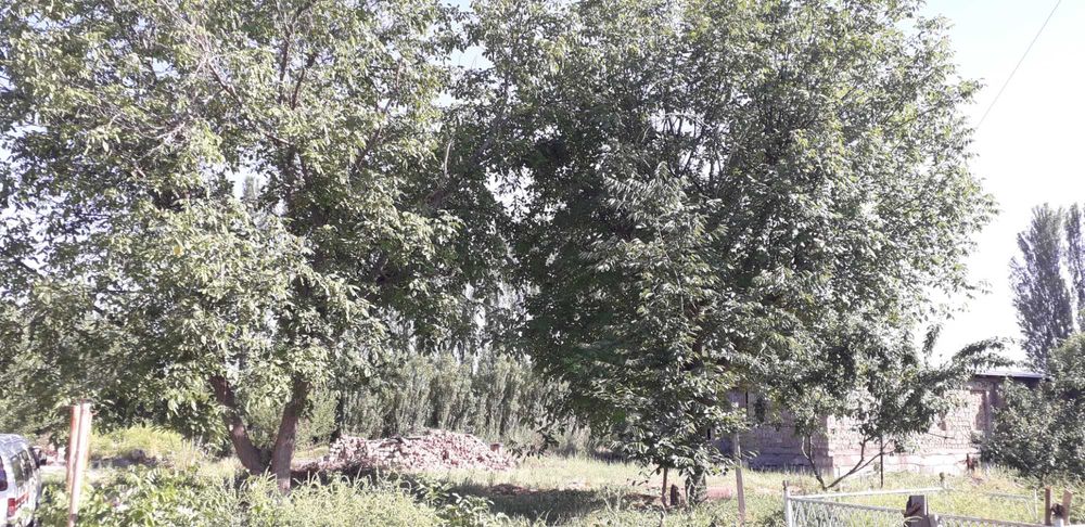 Продам землю 20соток массив Югнаки Ттз кадастр