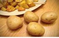 Продам семенной картофель Гала