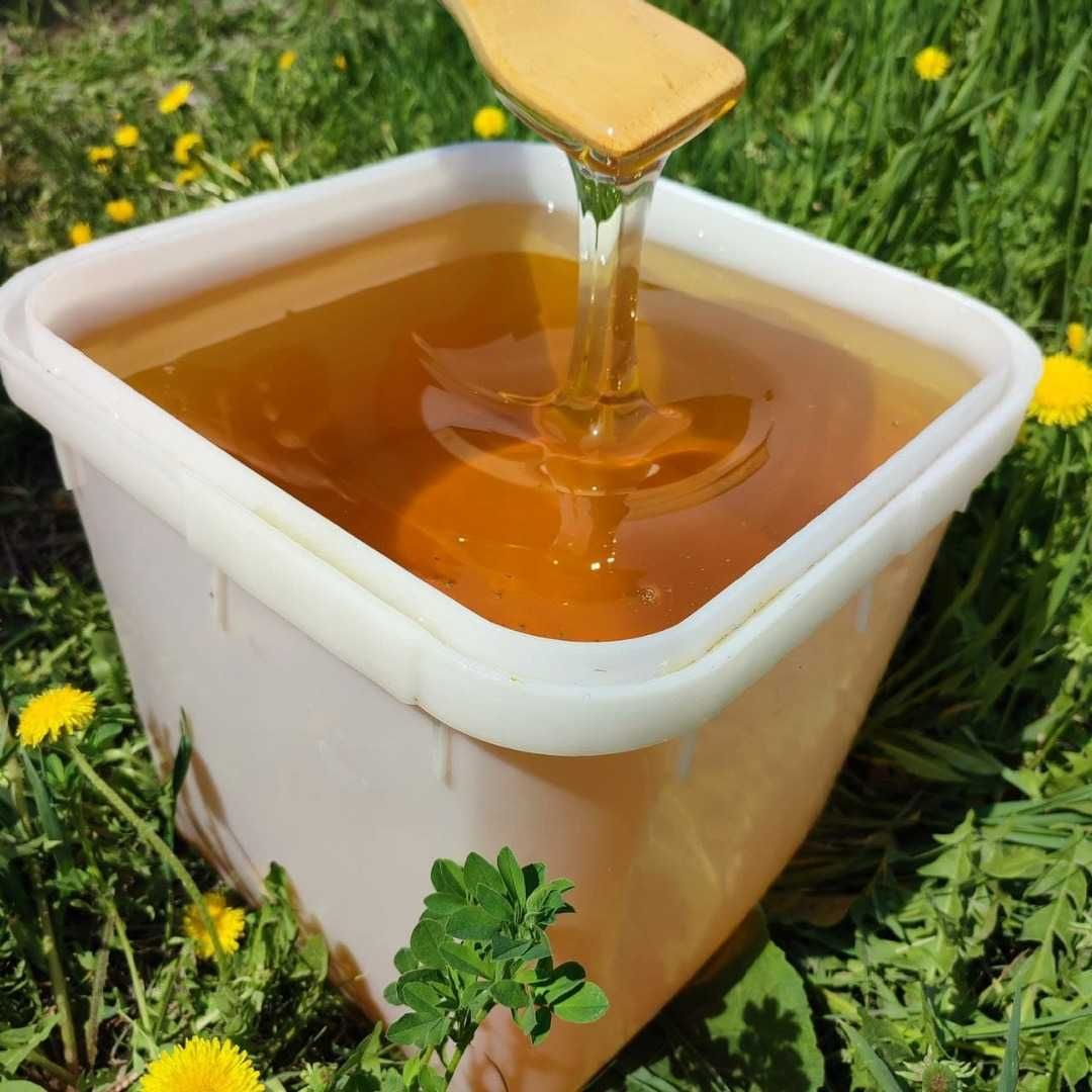 Мёд алтайский  натуральный оптом