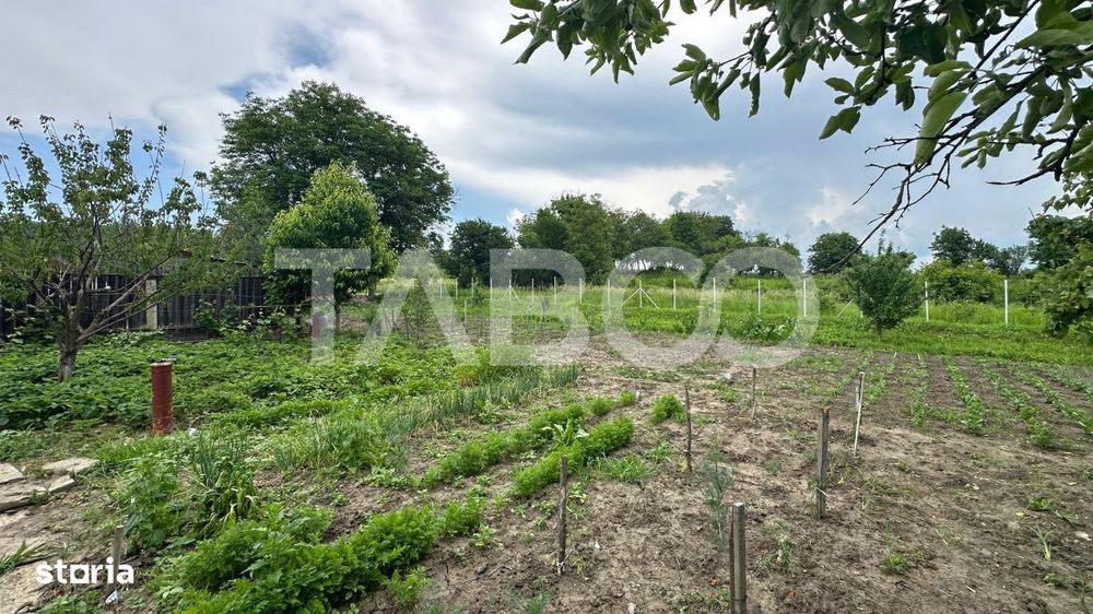 Casa individuala Comision 0% 3 camere anexe teren 800 mp Rusi Sibiu