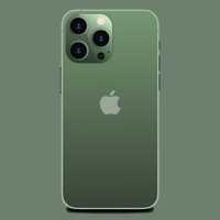 iPhone 13 pro Green karobka dakument