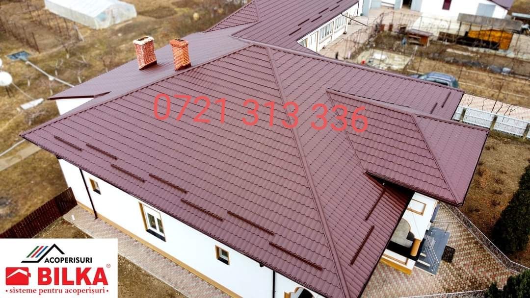 Firma Autorizata în Domneniul Acoperișuri Terase Cabane din lemn