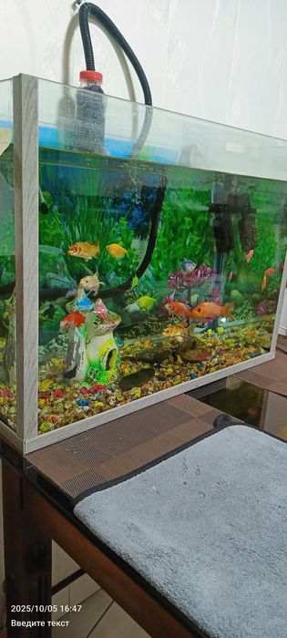 Срочно продаю аквариум с рыбками