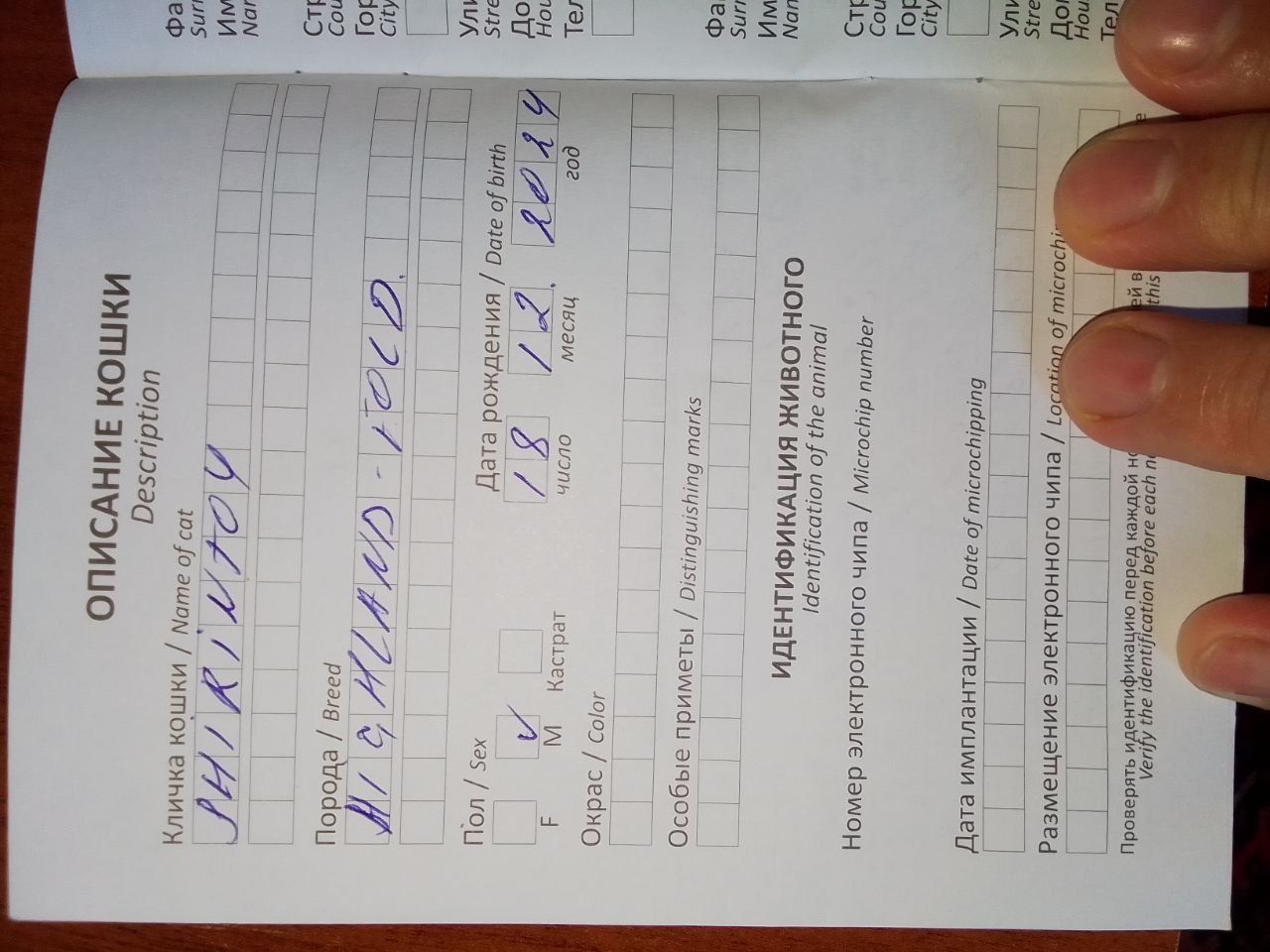 Zottor mushuk yaxshi