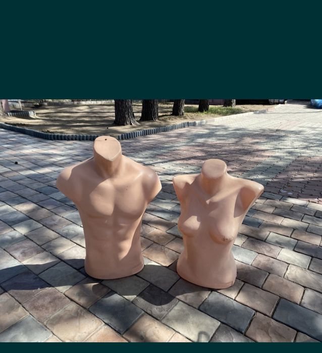 Торсы  мужские и женские