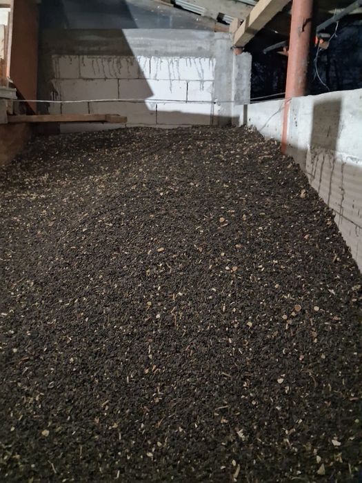 Vând Floarea soarelui