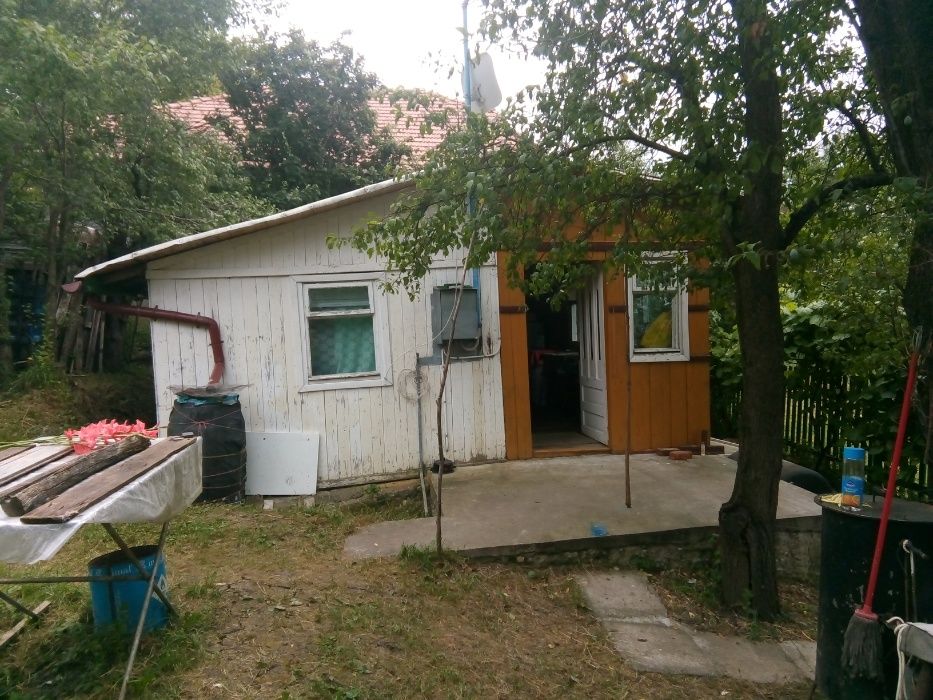 livada de pruni cu constructie in salaj