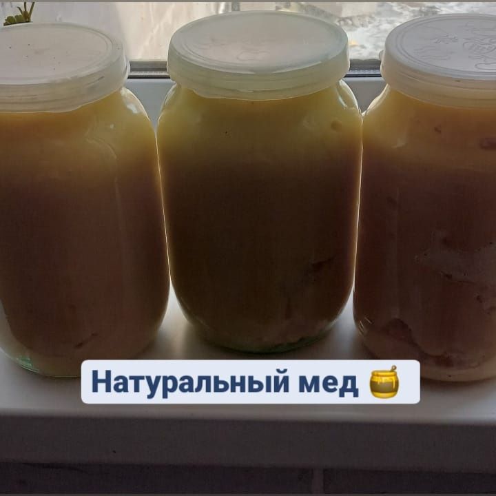 Продам натуральный мед "ПАСЕКА МЁДОМ ПОМАЗАНО "