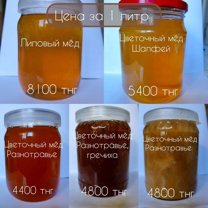 Башкирский мёд разных видов
