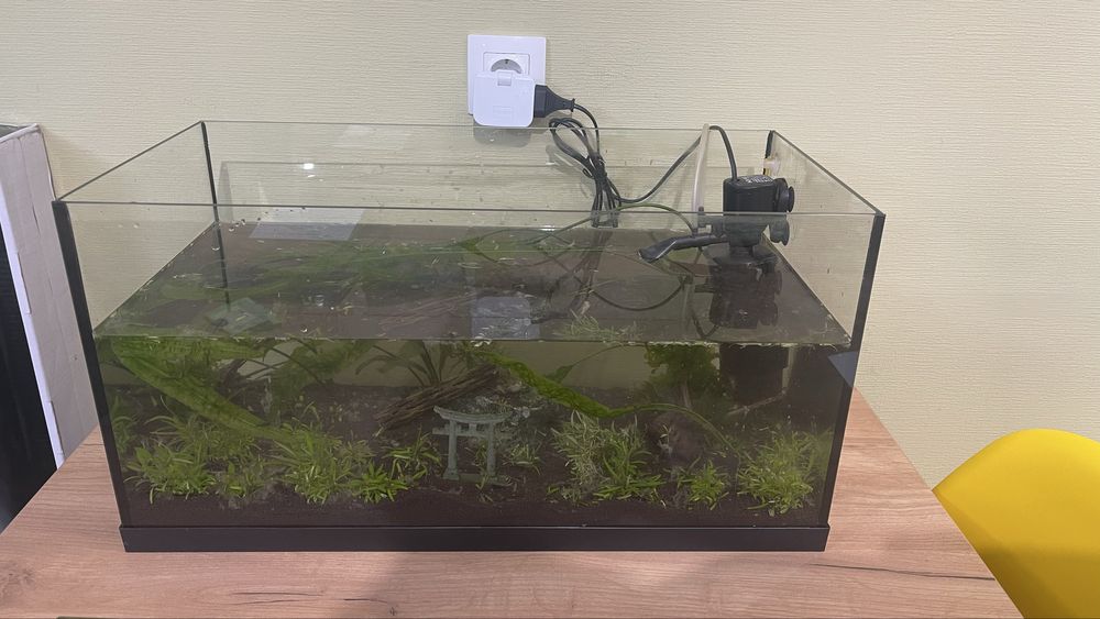 Аквариум вместе с наполнением