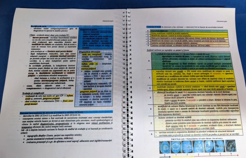 Sinteze Rezidențiat Medicină Dentară