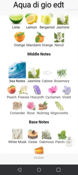 Мъжки парфюми и отливки