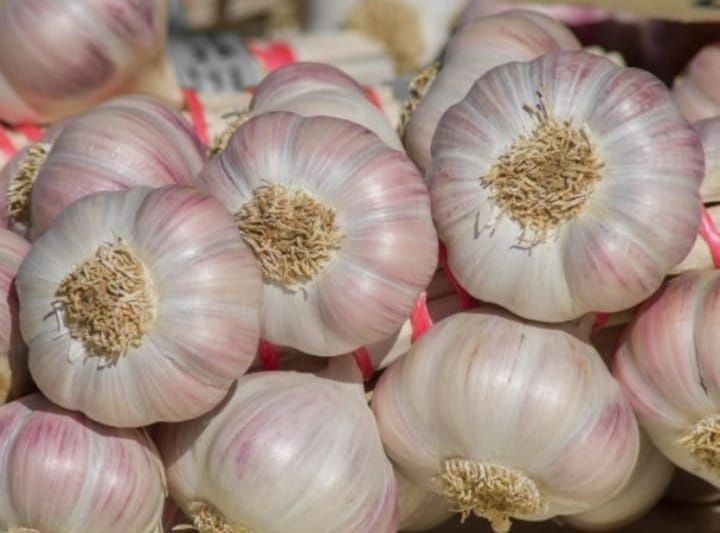 Чеснок сушеный молотый