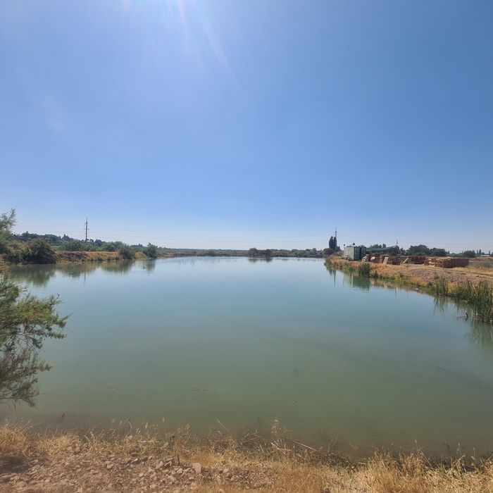 Ташморе идеальное место для туризм бизнеса