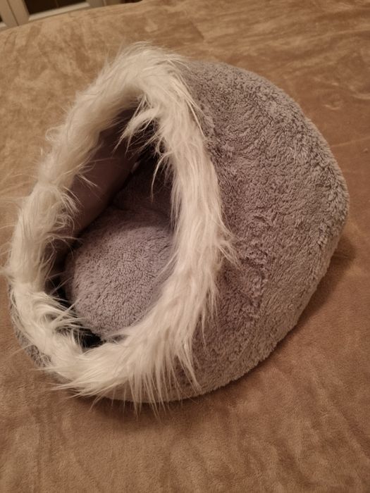 culcus/vizuina pisici