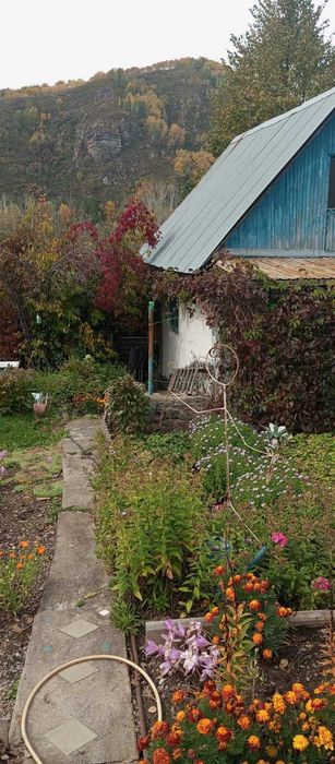 Продам дачу 6,5 соток на Казахстане