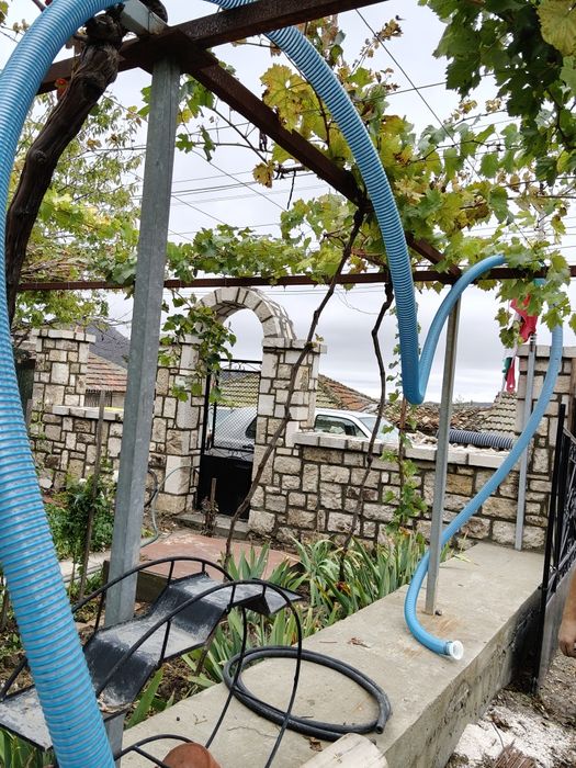 Мелене на грозде.