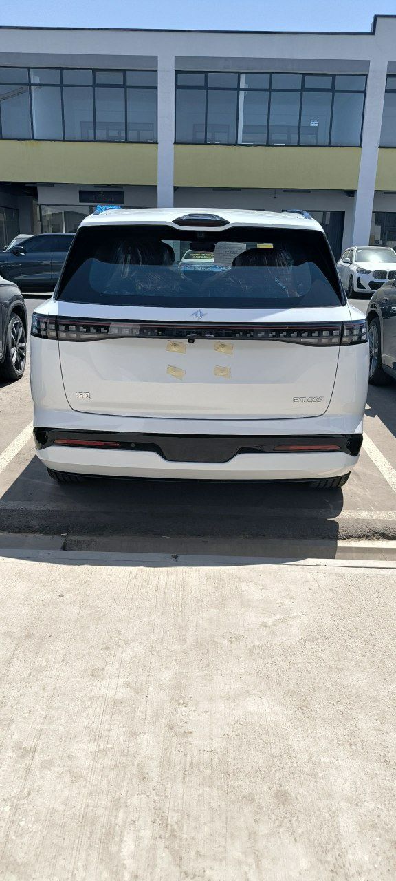 Dongfeng008Max2025