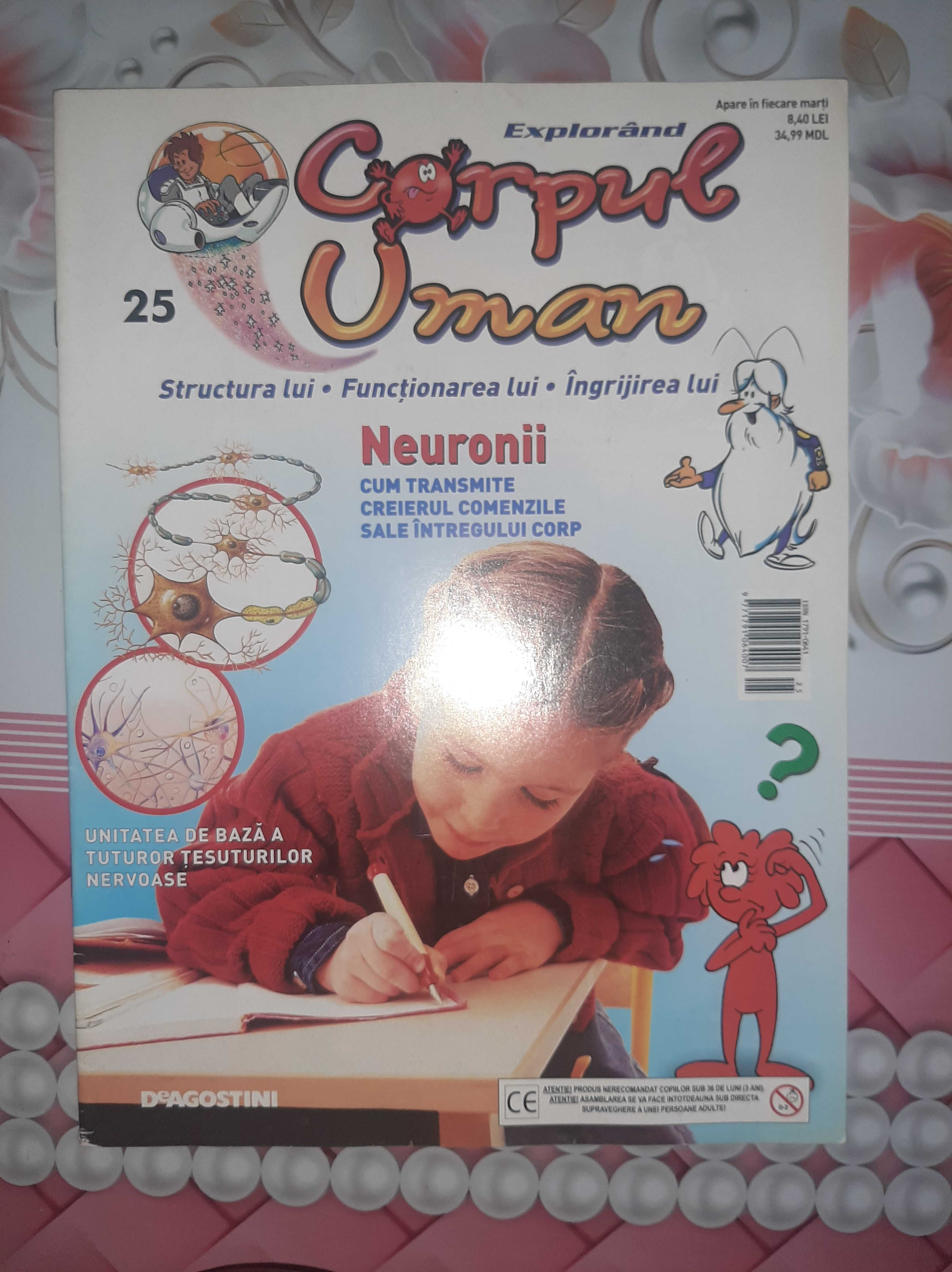 Explorand Corpul Uman  9 Reviste