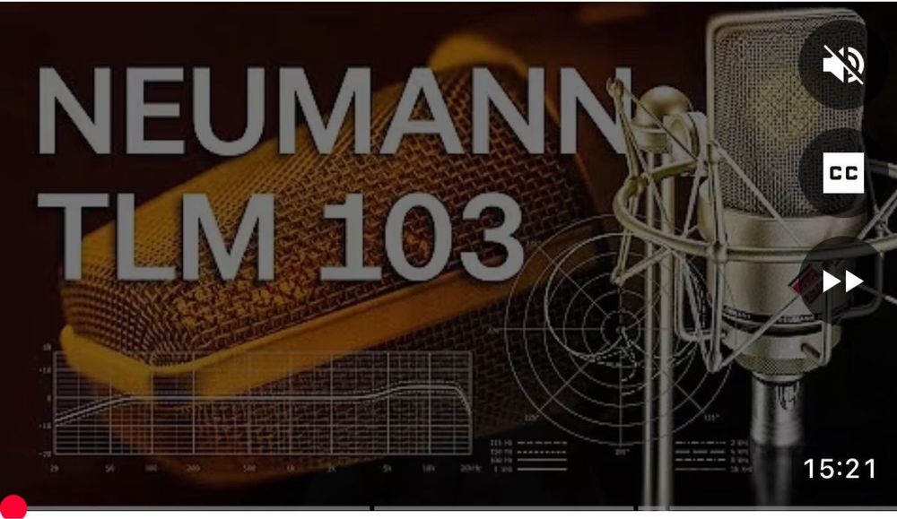 Mikrafon. Микрафон. NEUMANN TLM 103
