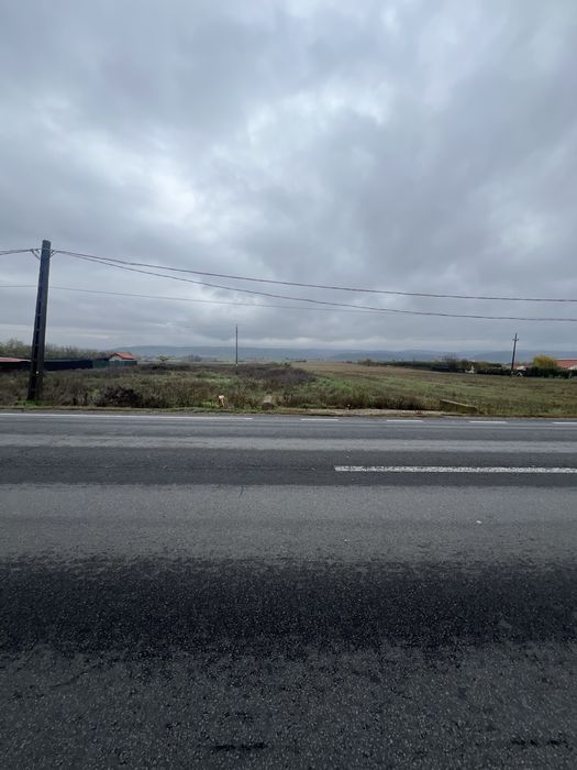 Teren de vanzare in Şimian