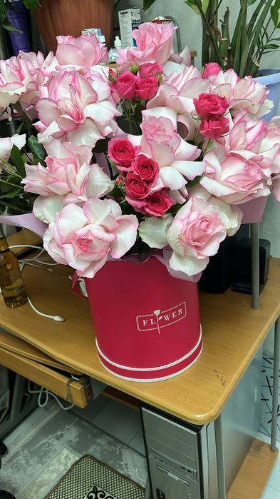 свежий казир келди