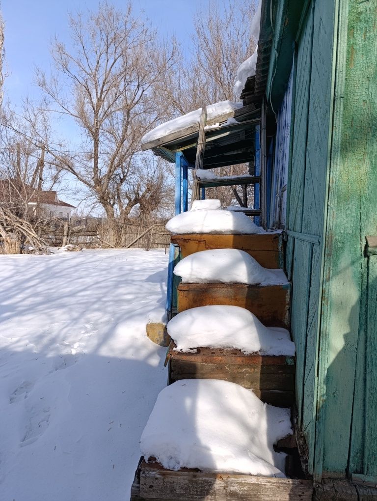 Алакольский р. Продам дом с участком