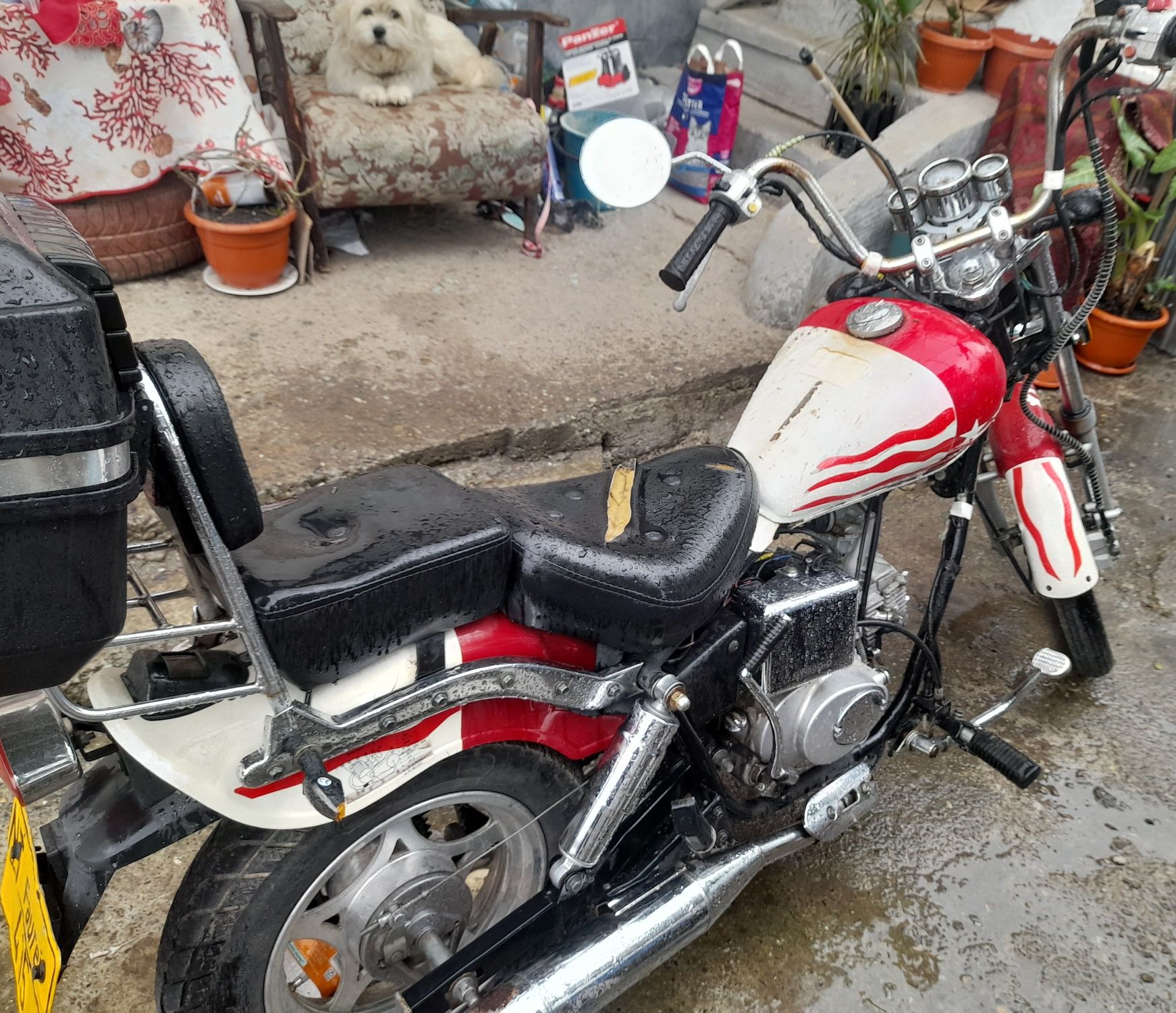 Chopper 50cm cu acte la zi