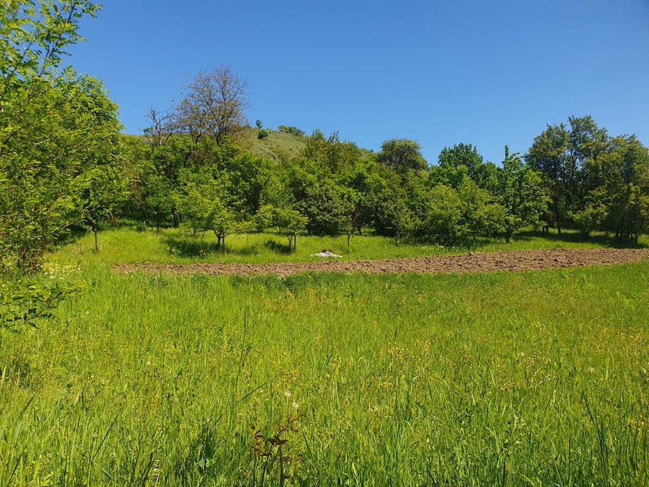 teren intravilan, sat Porumbeni, jud. Mures