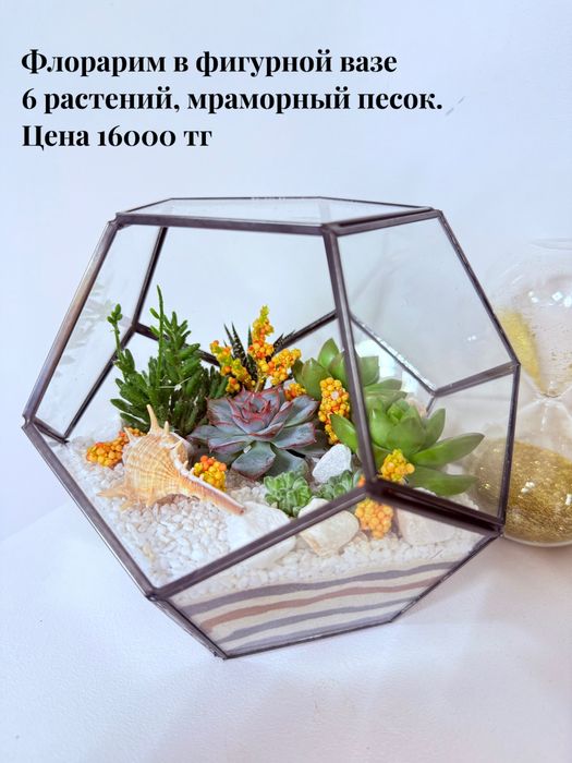 Продам флорариумы из суккулентов и кактусов