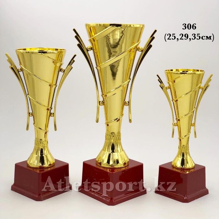 Наградные кубок (кубки) набор (306)