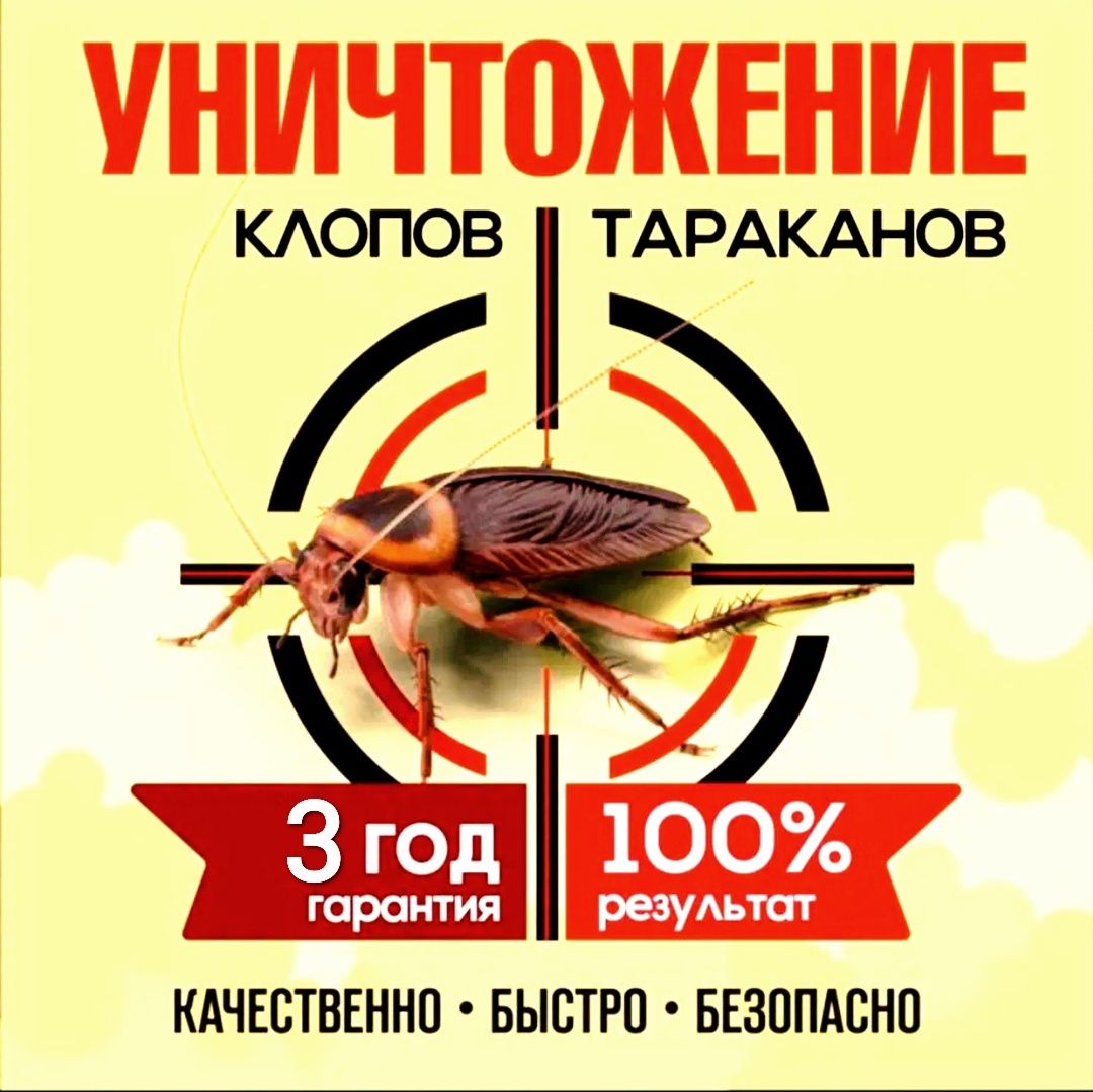 ДЕЗИНФЕКЦИЯ против от клопов тараканов dezinfeksiya