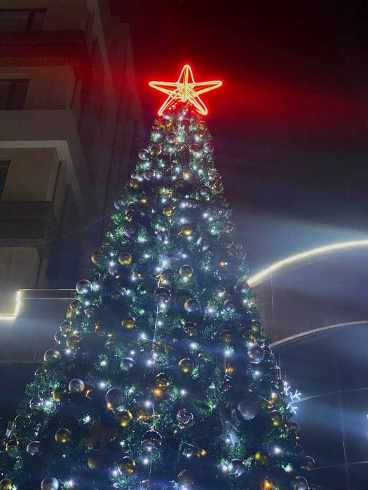 Каркасные уличные Ёлки Premium  /Archa   от производителя