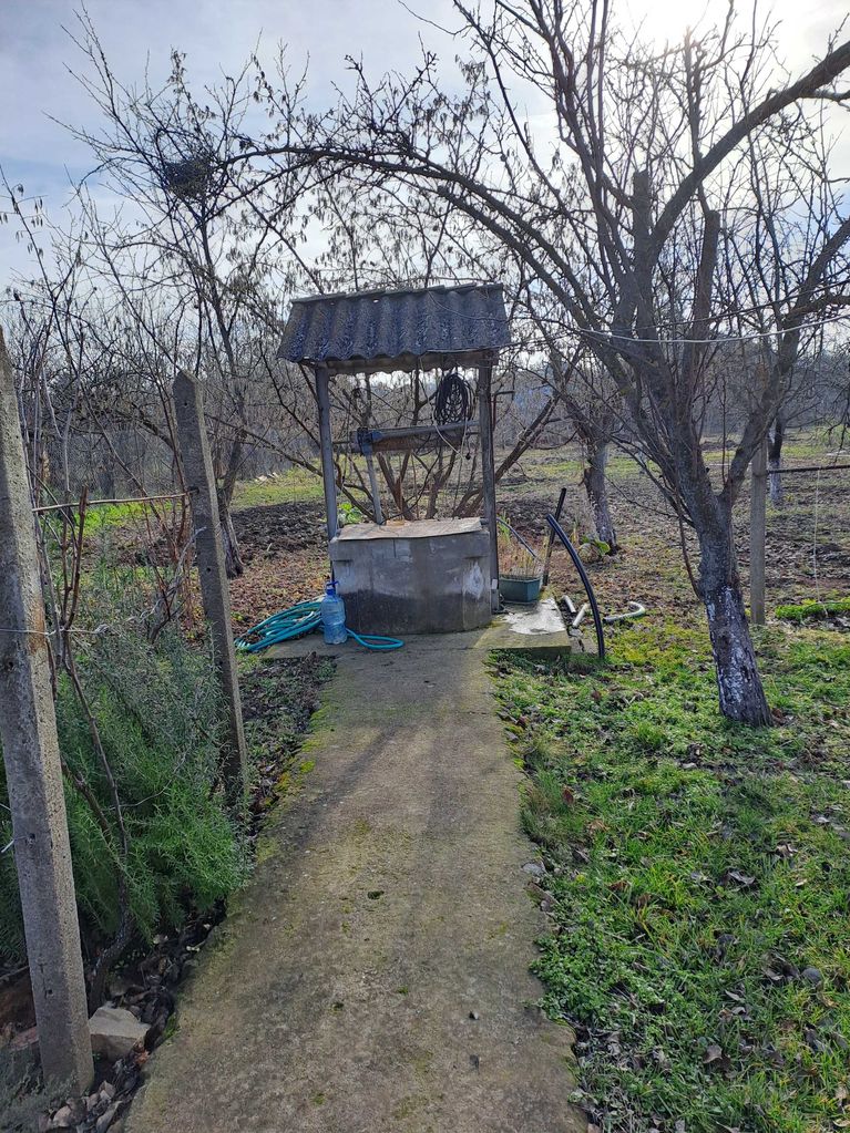 Продава се Промишлена сграда в с. Козаревец, Област Велико Търново - 2000 кв.м за 40 €/кв.м - Снимка #3