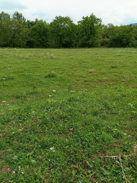 Teren intravilan de vânzare la Negrești oas