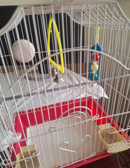 Okazie vand  colivie