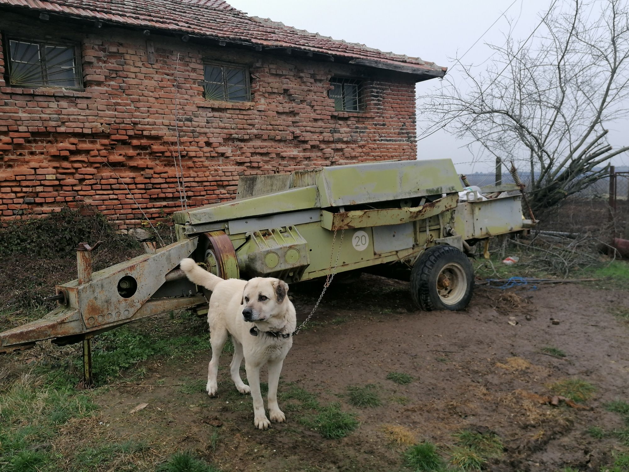 Балировачка Fortschritt