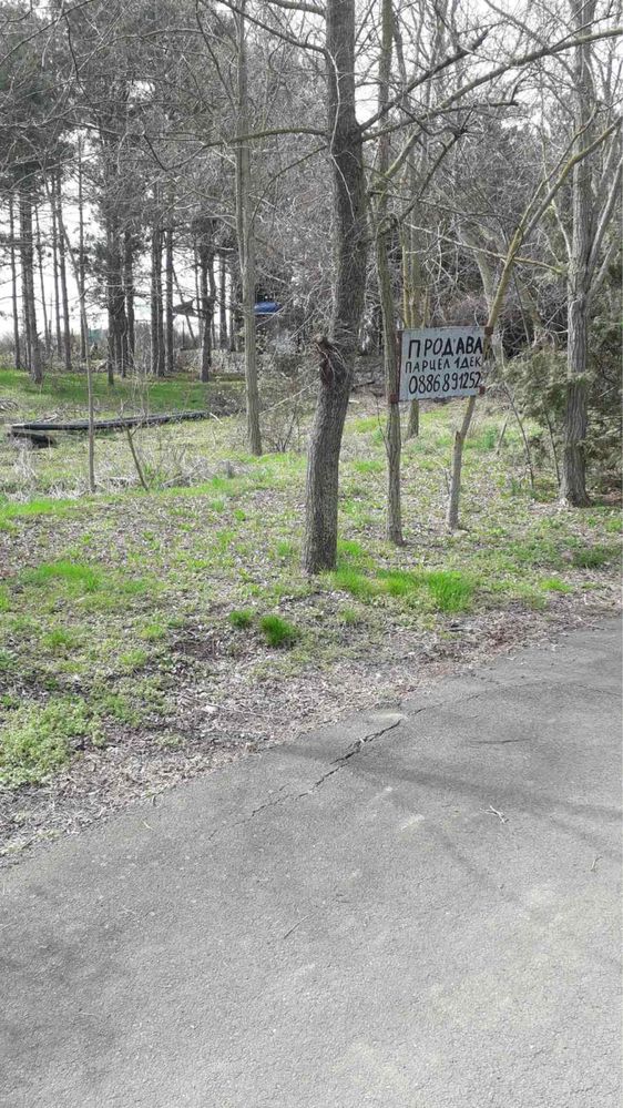 Комплекс “Бора” в близост  до плаж Корал (ток,вода)