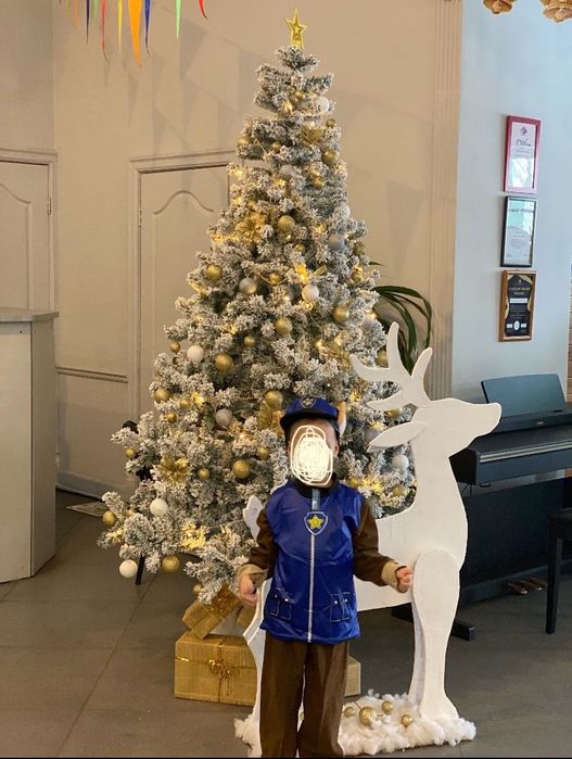 Новогодний костюм для мальчика